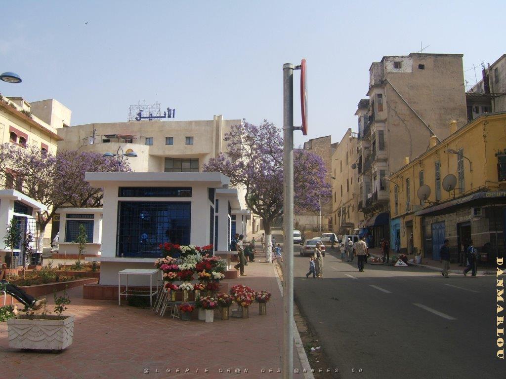 oran 255.jpg